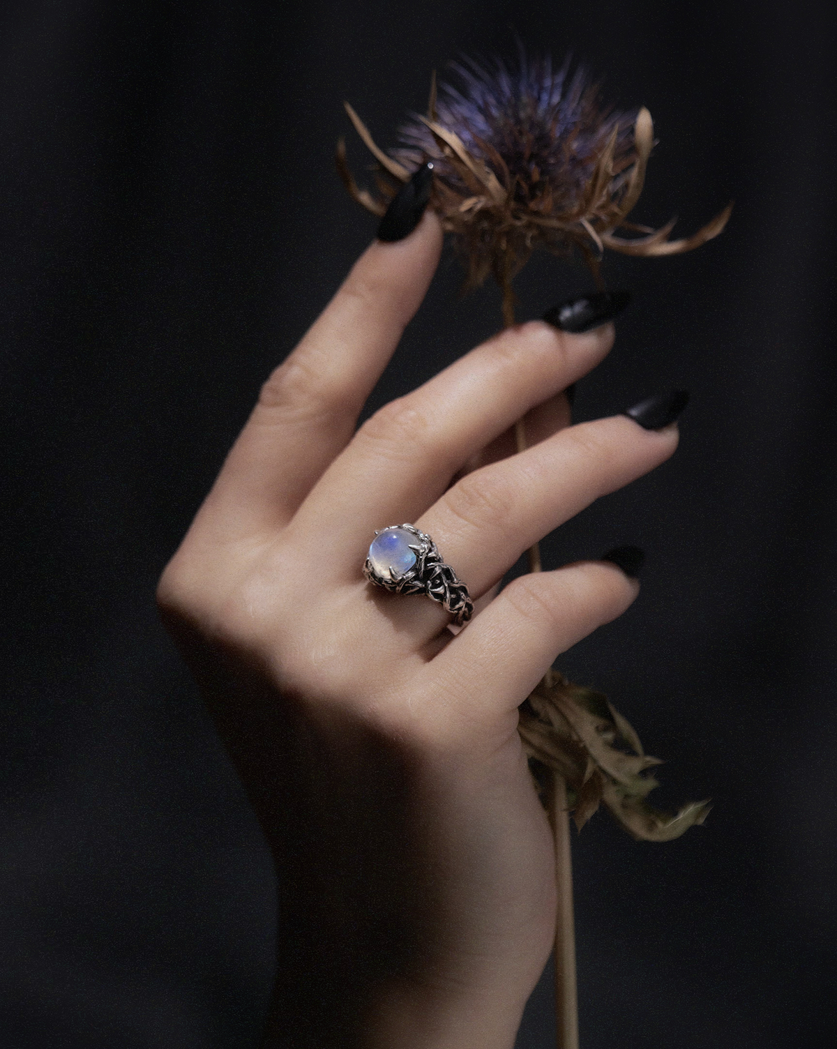 Pentagram Baby Thorn Ring | Alex Streeter