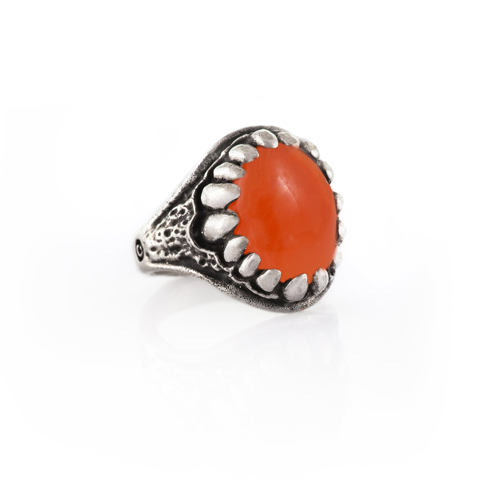 Limited Edition Carnelian Baby Dragon Tooth Ring