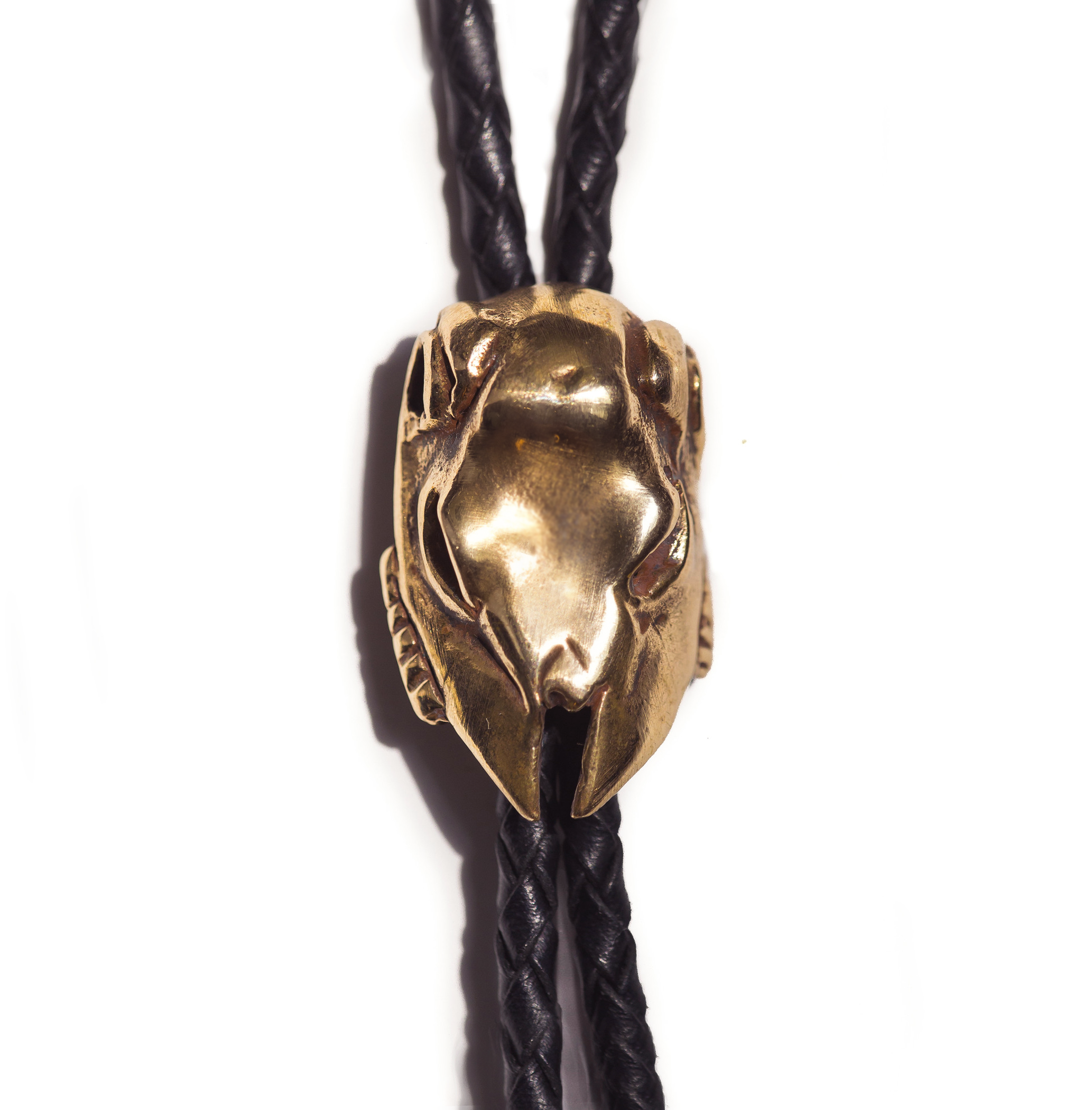 Steer Skull Bolo Tie | Alex Streeter