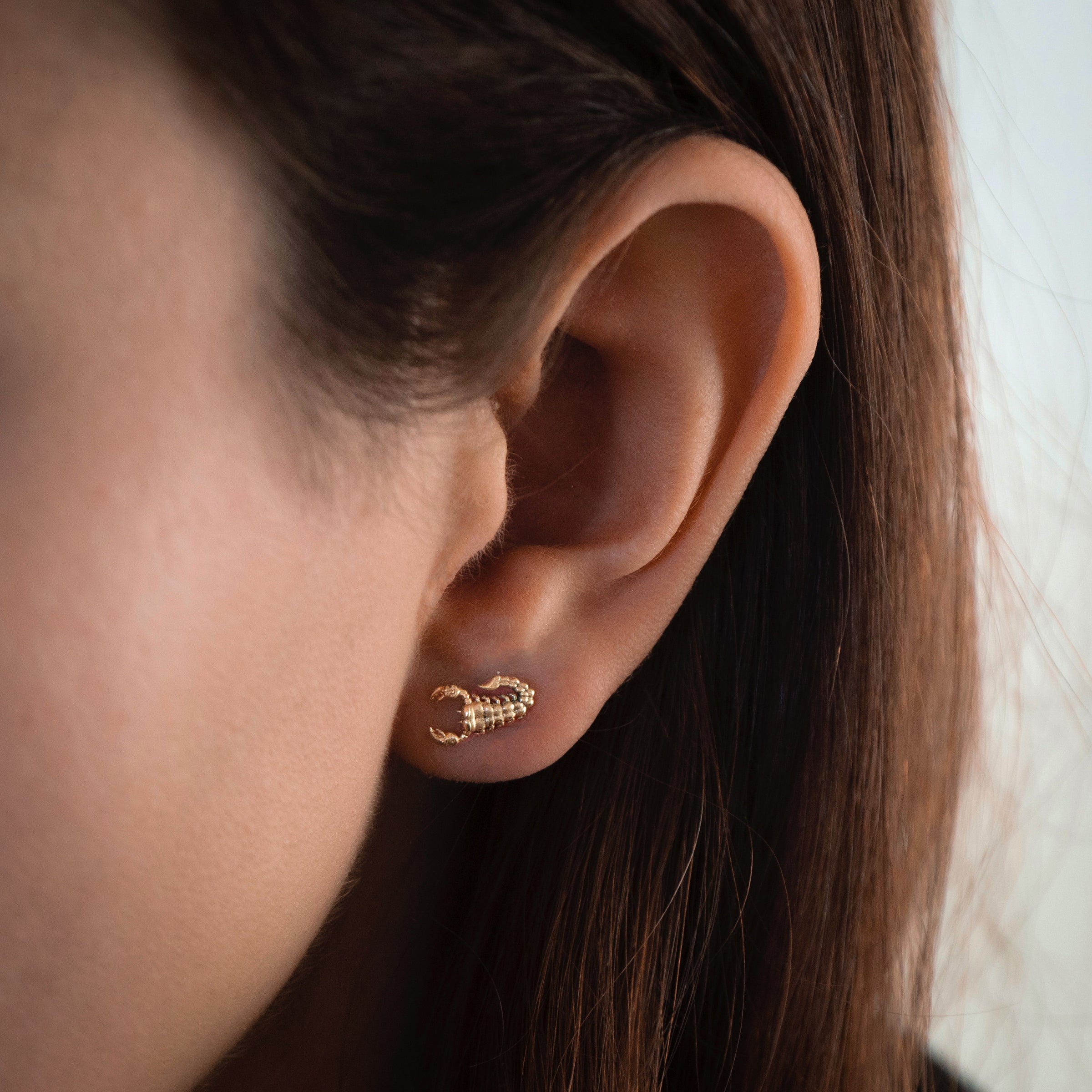 Scorpion hoop earrings new arrivals