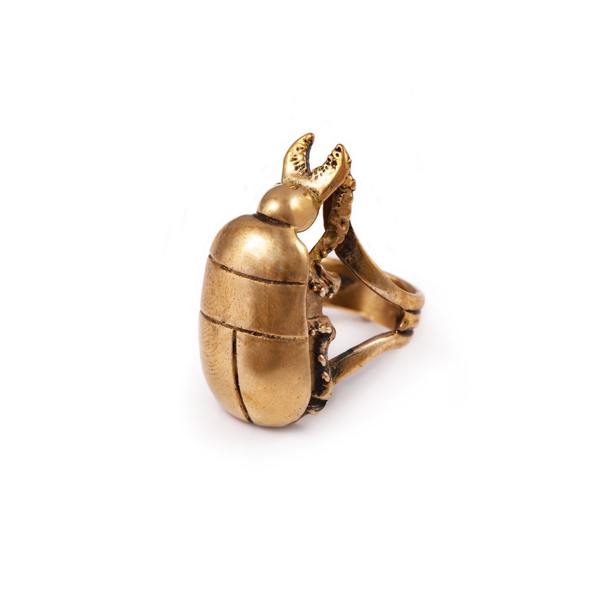 Bronze Scarab Ring | Alex Streeter